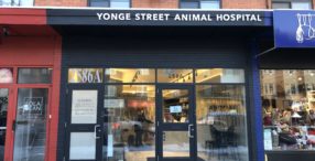 Yonge Street Animal Hospital