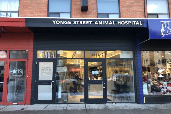 Yonge Street Animal Hospital
